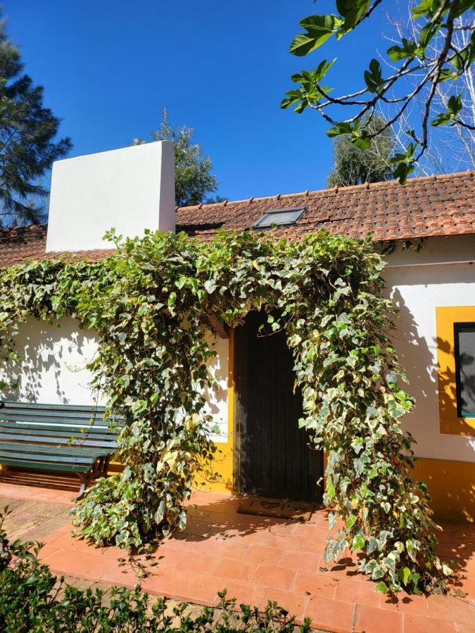 Hotel Quinta Da Mimosa Fajarda Zewnętrze zdjęcie