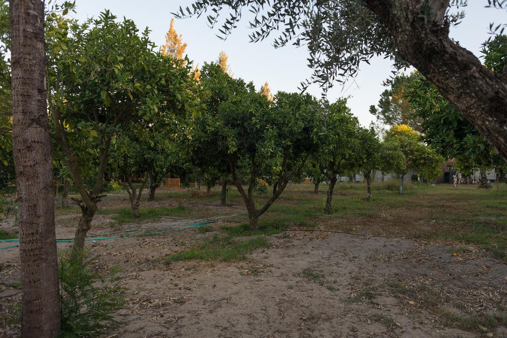 Hotel Quinta Da Mimosa Fajarda Zewnętrze zdjęcie